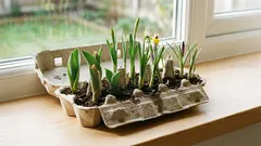 卵のパックを捨てないでください。ほんの数分で、春らしい素敵な飾り物に変身します。